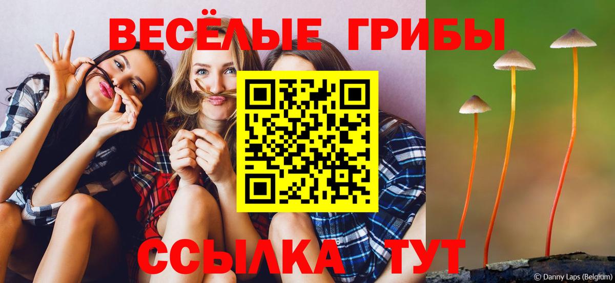 Псилоцибиновые грибы Magic Shrooms  Вход с VPN  Южно-Сахалинск 