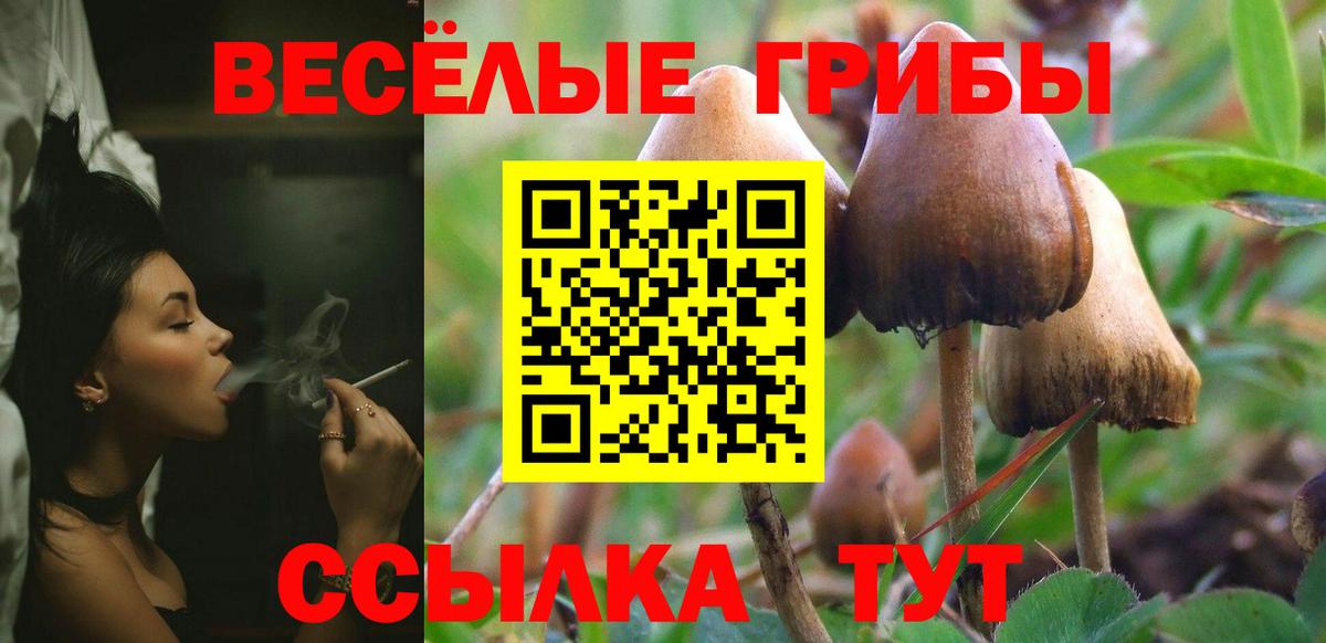 Псилоцибиновые грибы Cubensis Южно-Сахалинск